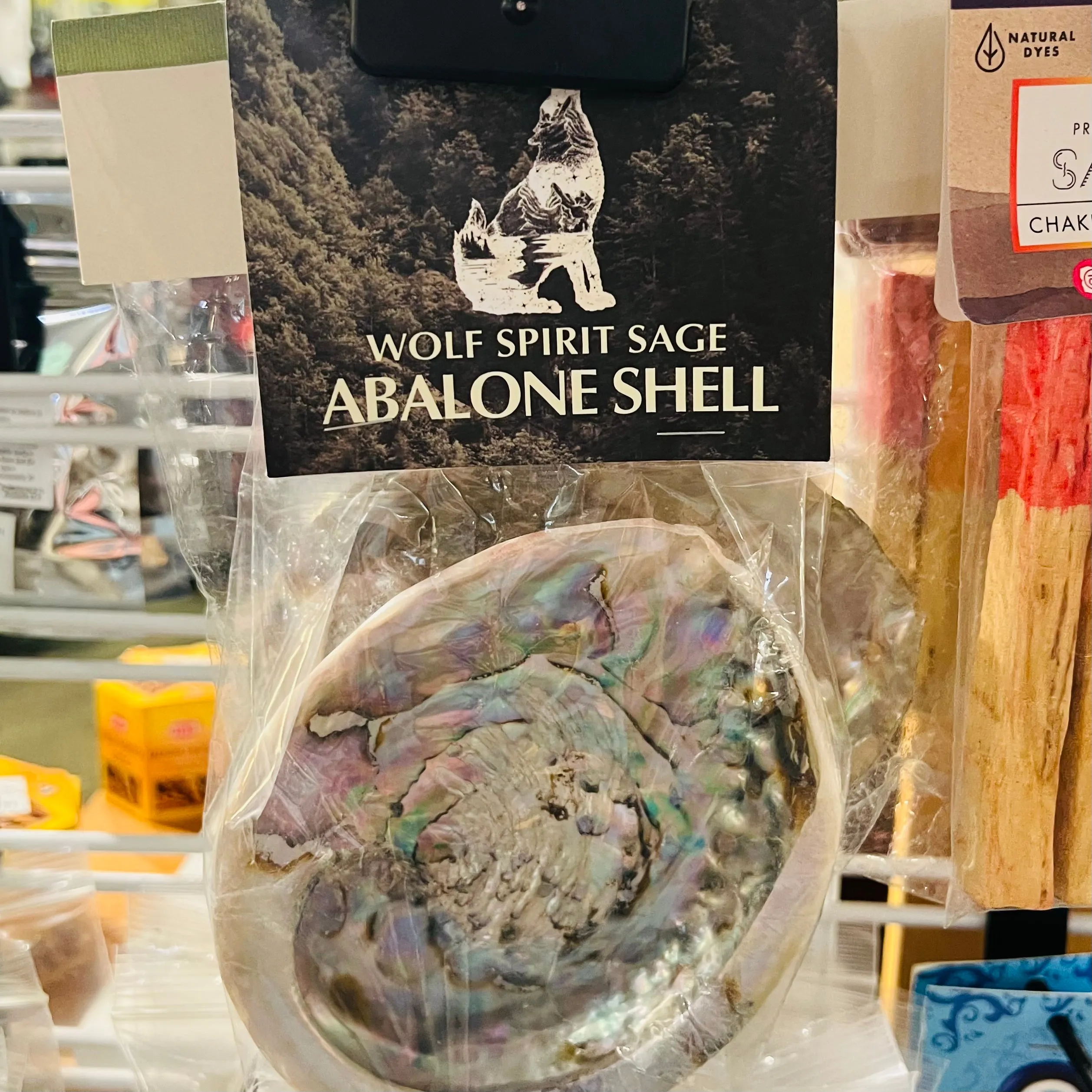 Abalone Shell - Smudge