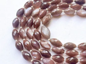 Chocolate Moonstone Olive shape faceted briolette beads