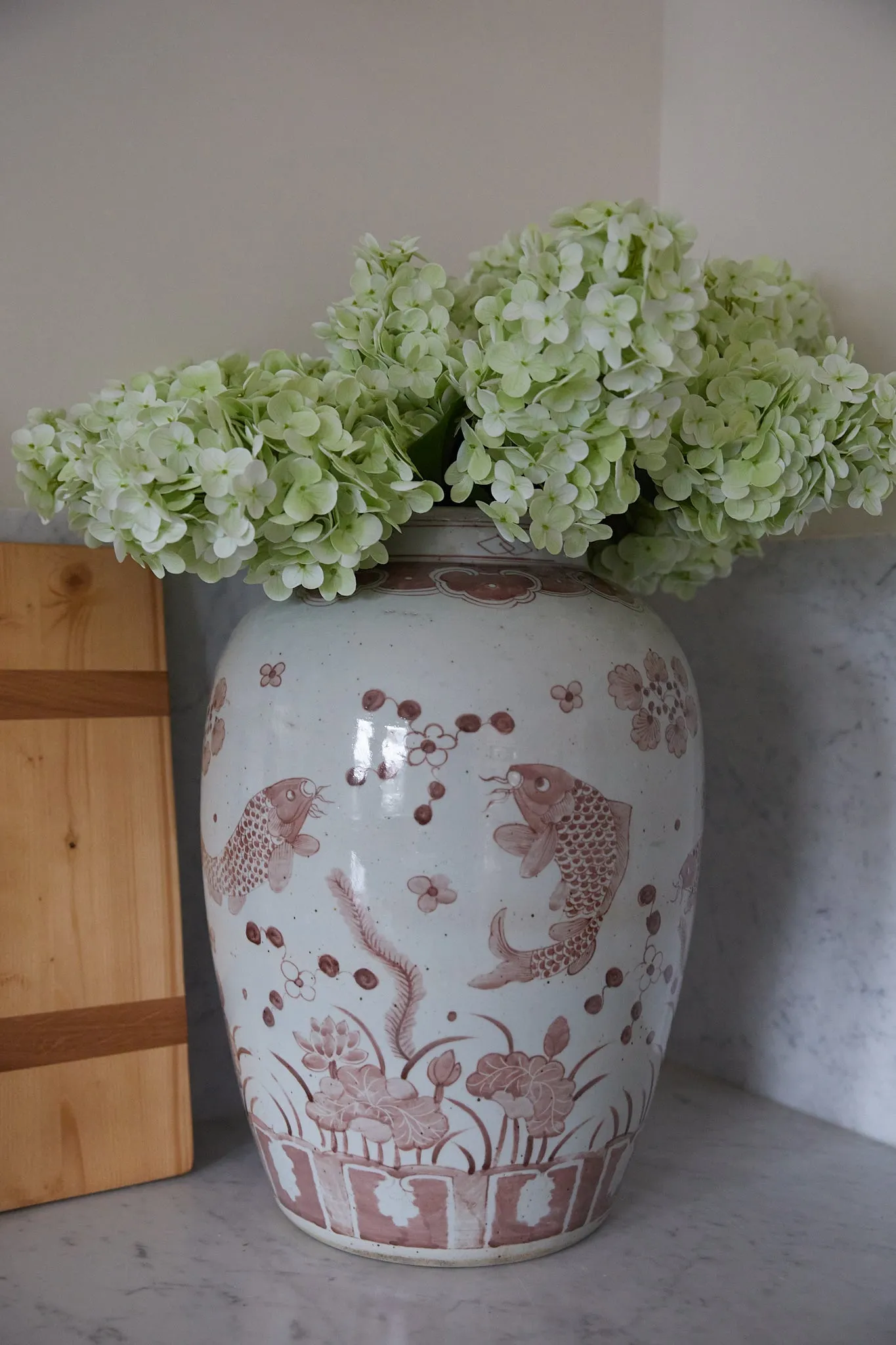 Tall Green Hydrangea Stem